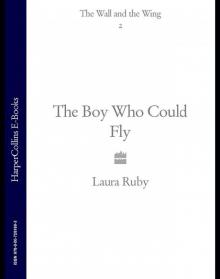 The Boy Who Could Fly