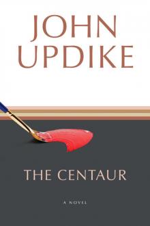 The Centaur: A Novel