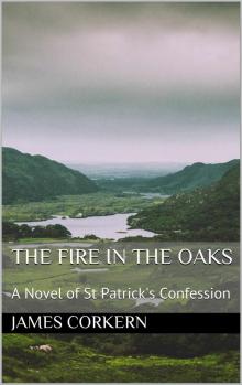 The Fire in the Oaks: A Novel of St Patrick's Confession