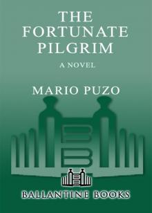 The Fortunate Pilgrim