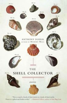 The Shell Collector