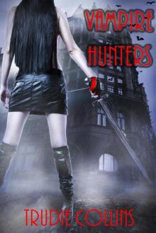 Vampire Hunters, #1