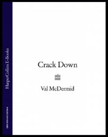 03.Crack Down