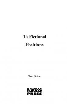 14 Fictional Positions