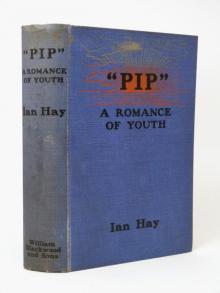 Pip : A Romance of Youth