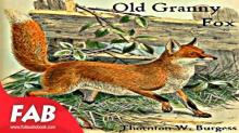 Old Granny Fox