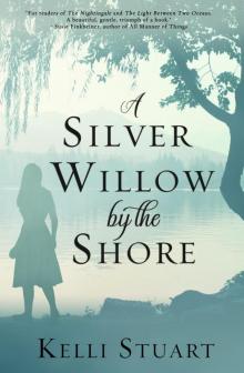 A Silver Willow by the Shore