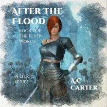 After the Flood