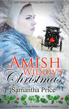 Amish Widow's Christmas