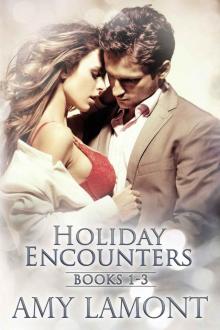 [Holiday Encounters 01.0 - 03.0] Boxed Set