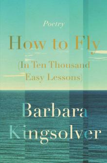 How to Fly (In Ten Thousand Easy Lessons)