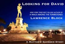 Looking for David (A Matthew Scudder Story Book 7)