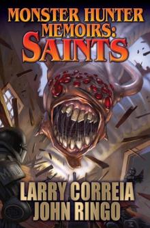 Monster Hunter Memoir: Saints