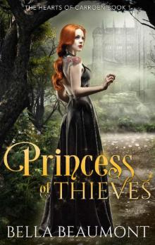 Princess of Thieves