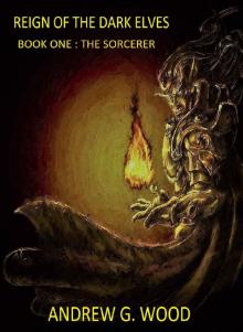 Reign of the Dark Elves: Book One : The Sorcerer