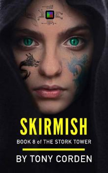 Skirmish (The Stork Tower Book 8)