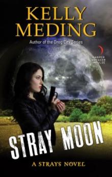 Stray Moon