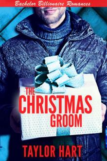 The Christmas Groom