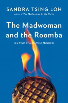 The Madwoman and the Roomba