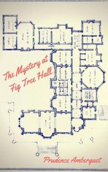 The Mystery at Fig Tree Hall