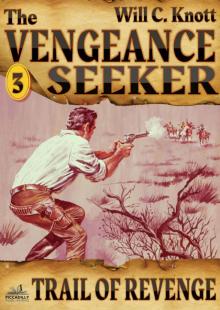 The Vengeance Seeker 3