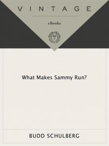 What Makes Sammy Run?