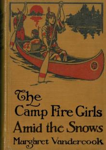 The Camp Fire Girls in After Years