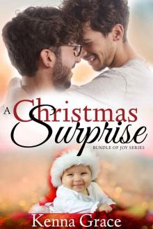 A Christmas Surprise: Bundle of Joy Series