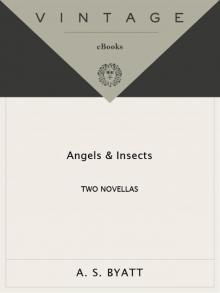 Angels & Insects: Two Novellas