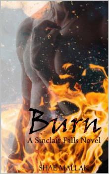 Burn (The Sinclair Falls Novels Book 1)