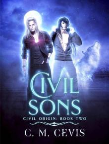 Civil Sons