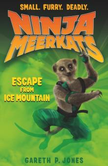 Escape from Ice Mountain