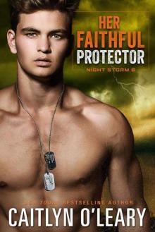 Her Faithful Protector: A Navy SEAL Romance (Night Storm Book 6)