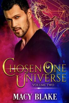 The Chosen One Universe Volume Two: An MM Paranormal Fantasy Shifters Series