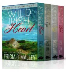 The Mystic Cove Series Boxed Set (Wild Irish Books 1-4)