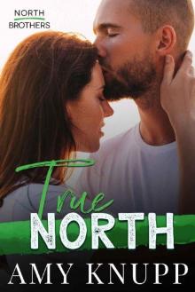 True North (North Brothers Book 1)