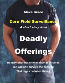 Corn Field Surveillance: A Short Story