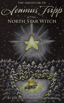 Seamus Tripp &amp; the North Star Witch