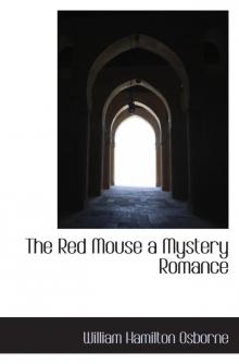 The Red Mouse: A Mystery Romance