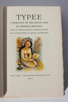 Typee: A Romance of the South Seas