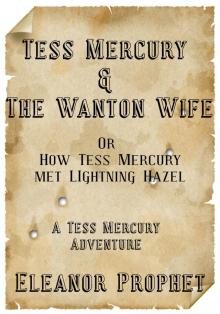 Tess Mercury and the Wanton Wife