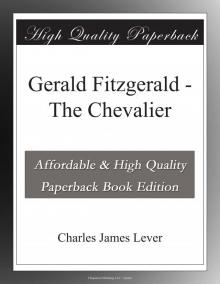 Gerald Fitzgerald, the Chevalier: A Novel