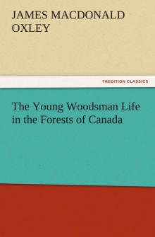 The Young Woodsman; Or, Life in the Forests of Canada