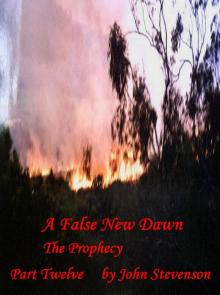 A False New Dawn