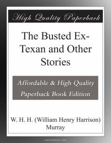 The Busted Ex-Texan, and Other Stories