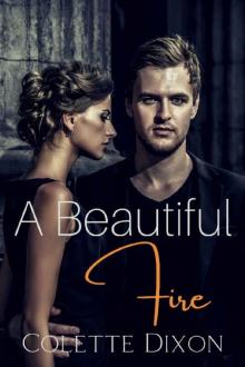 A Beautiful Fire (Love at Lincolnfield Book 4)