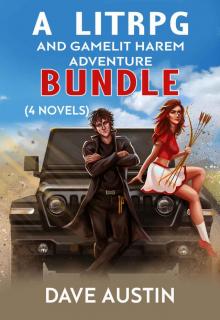 A Litrpg and Gamelit Harem Adventure Bundle: (4 Novels)