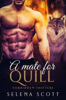 A Mate For Quill (Forbidden Shifters Series Book 6)