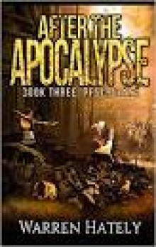 After the Apocalypse Book 3 Resurgence: a zombie apocalypse political action thriller