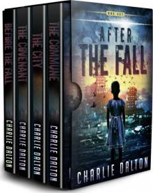 After the Fall- The Complete series Box Set